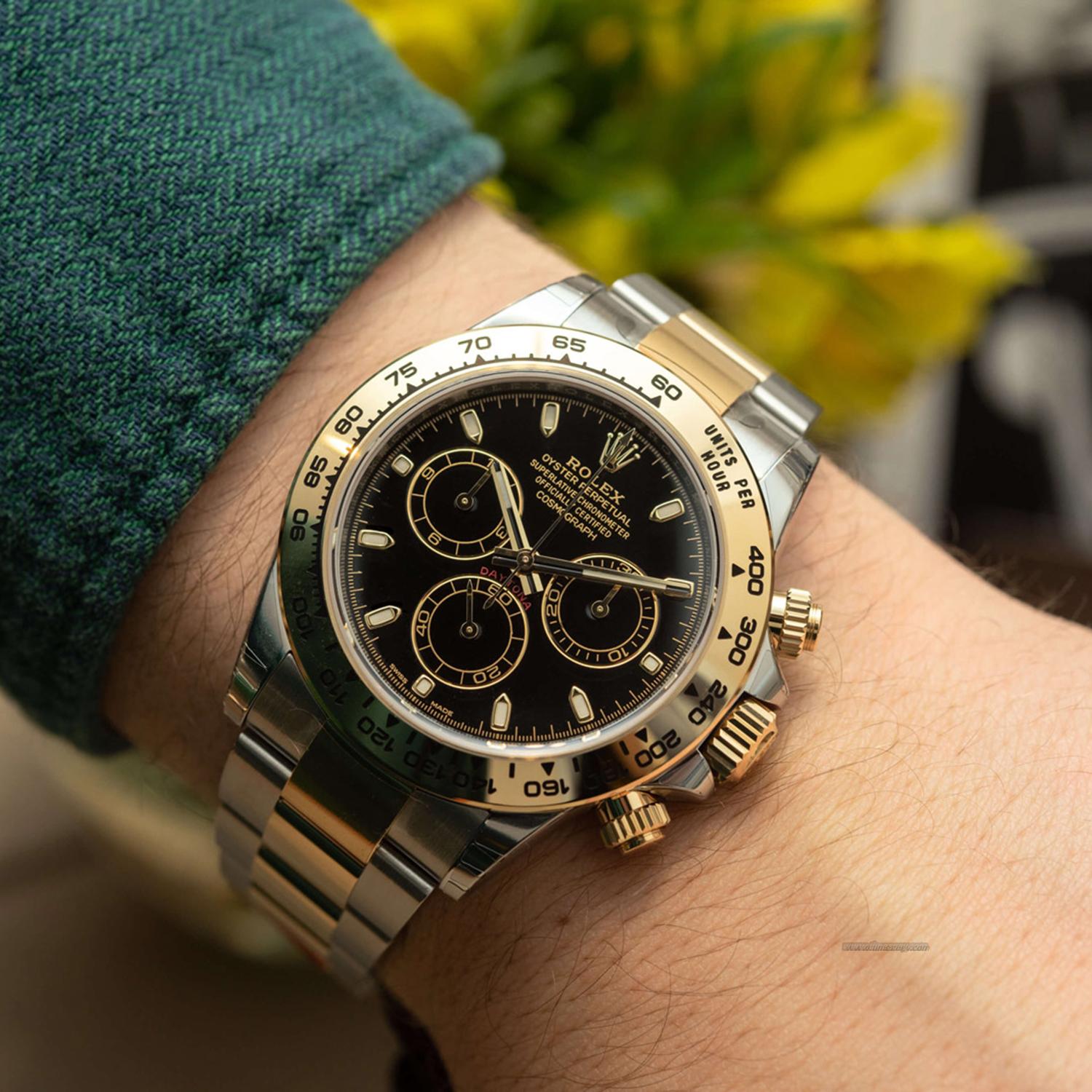 rolex similar watches